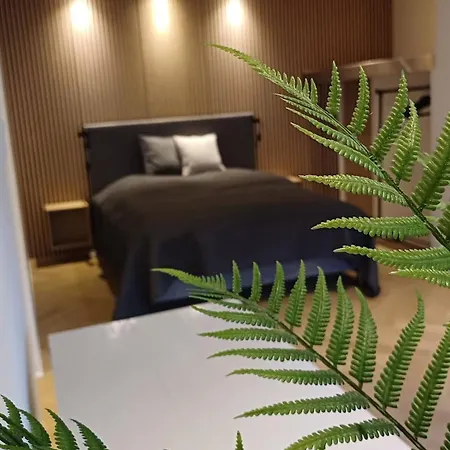 Luxurious In City, Free Parking Apartment Aalborg