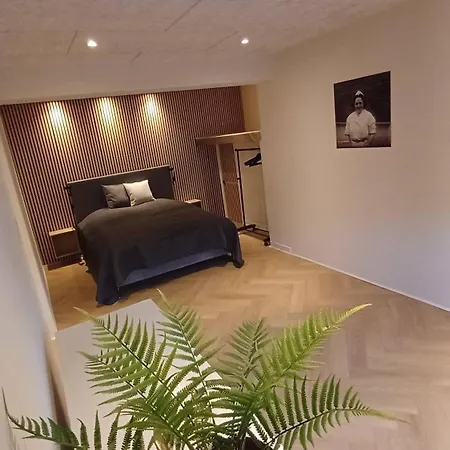 Apartamento Unique And Luxurious Apartment In Aalborg City