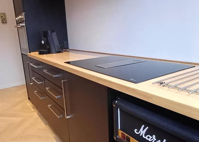 Apartament Luxurious In City, Free Parking Aalborg
